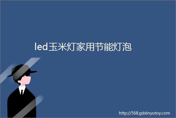 led玉米灯家用节能灯泡